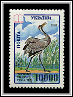 Grus Grus