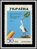 Ciconia Ciconia