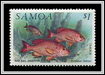Lutianus Fulvus