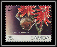 Pteropus Tonganus