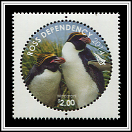 Eudyptes Chrysolophus