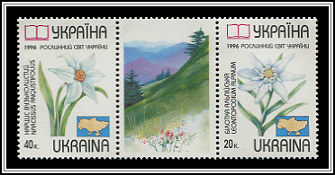 Narcissus Anqustifolius & Leontopodium Alpinum