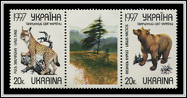 Lynx Lynx & Ursus Arctos