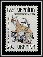 Lynx Lynx