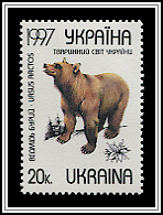 Ursus Arctos