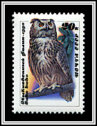 Bubo Bubo