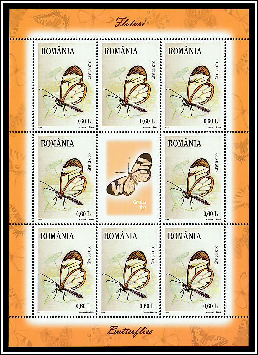 Glasswinged Butterfly (Greta oto)