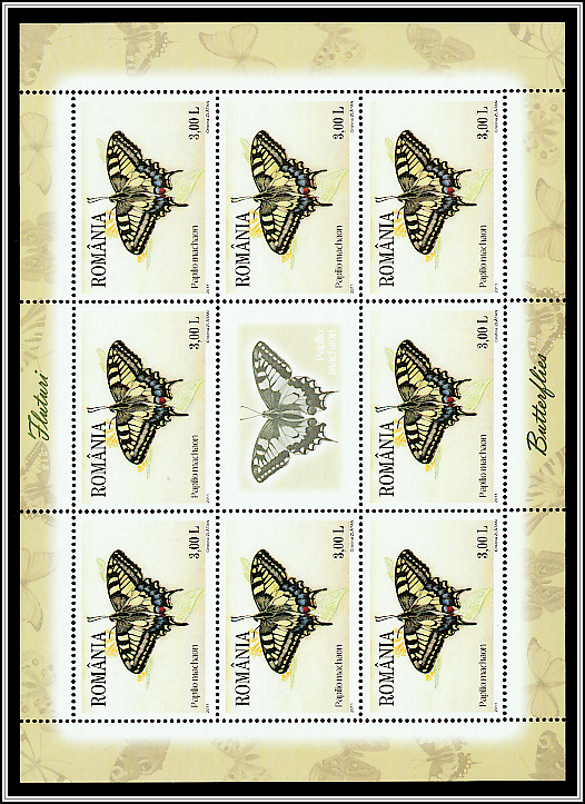 Swallowtail (Papilio machaon)