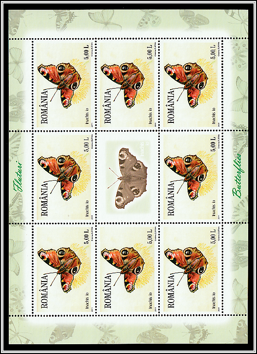 European Peacock (Inachis io)