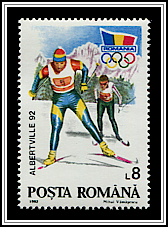 Cross Country Skiing