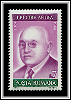 Grigore Antipa