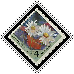 Camomile