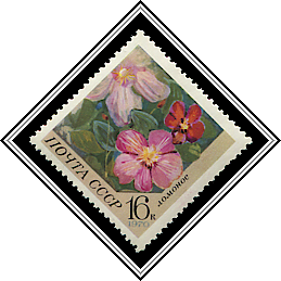 Clematis