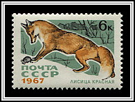 Vulpes Vulpes