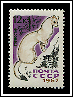 Mustela Ermina
