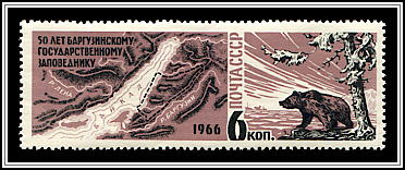 Brown Bear & Map of Reserve