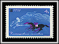 Thoroughbred & Horse Race