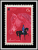 Arabian & Dressage