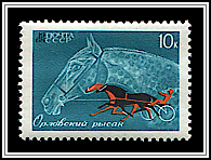 Orlovski & Harness Race