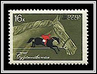 Budyonny & Steeple Chase