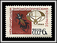 Carabus Schoenherri & Emblem