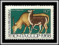 Eland & Guanaco