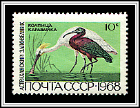 Spoonbill & Ibis