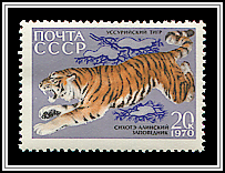 Panthera Tigris Altaica