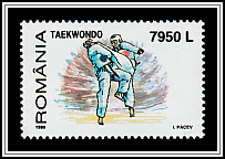 Taekwondo