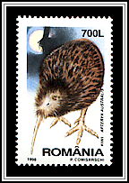 Southern Brown Kiwi (Apteryx australis)