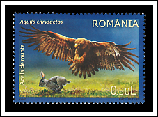Golden Eagle