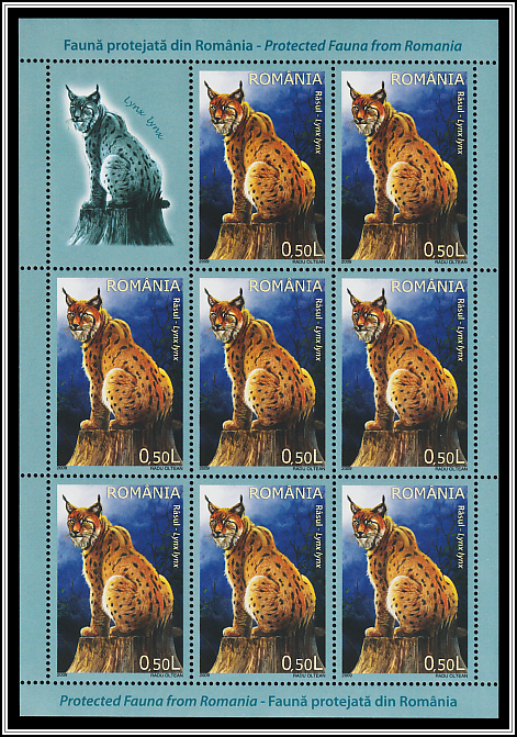 Eurasian Lynx (Lynx lynx)