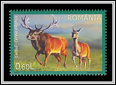 Red Deer