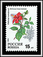 Hibiscus Rosa-Sinensis