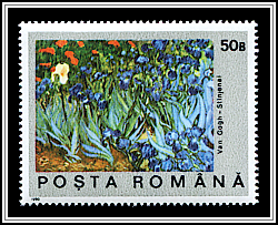 Irises