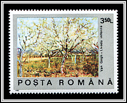 Blossoming Fruit Trees