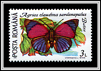 Claudina Agrias (Agrias claudina sardanapalus)
