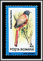 Malabar Trogon (Harpactes fasciatus)
