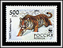 Siberian Tiger