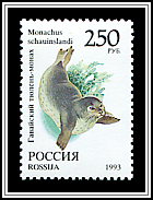 Monachus Schauinslandi