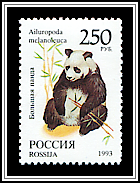 Ailuropoda Melanoleuca