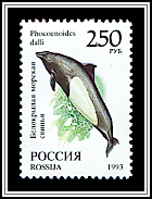 Phocoenoides Dalli
