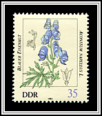 Aconitum Napellus