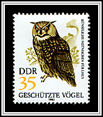 Bubo Bubo