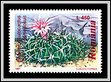 Brain Cactus (Echinofossulocactus lamellosus)