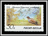 Tetrao Urogallus