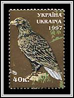 Haliaeetus Albicilla