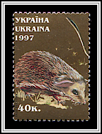 Erinaceus Europaeus