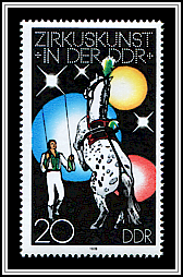 Dressage Horses