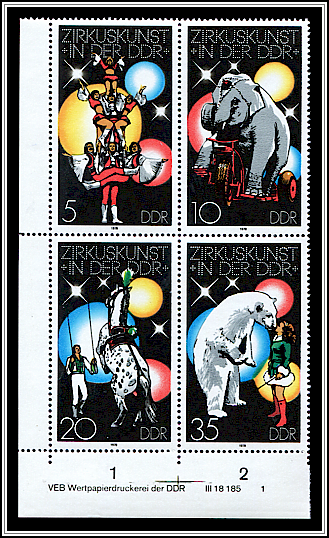 Circus Scenes